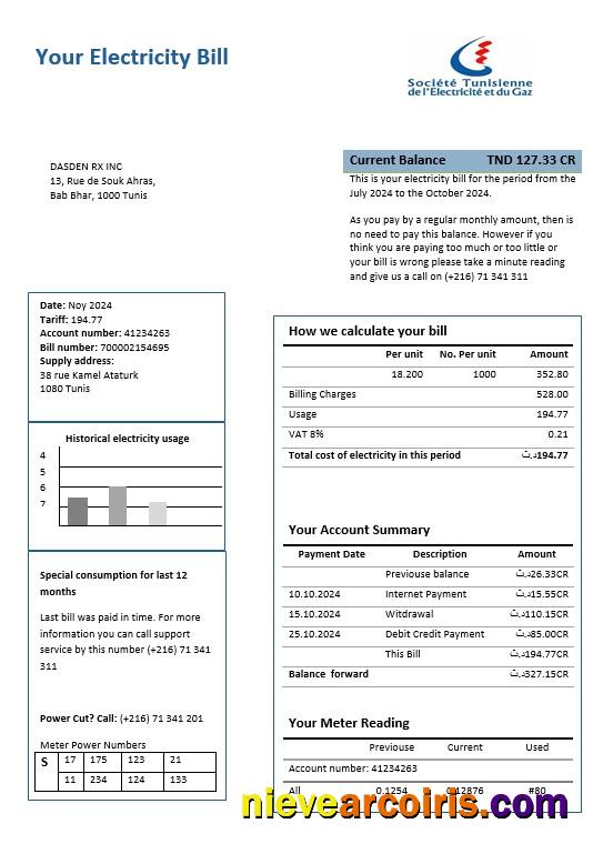 Tunisia electricity proof of address business utility bill